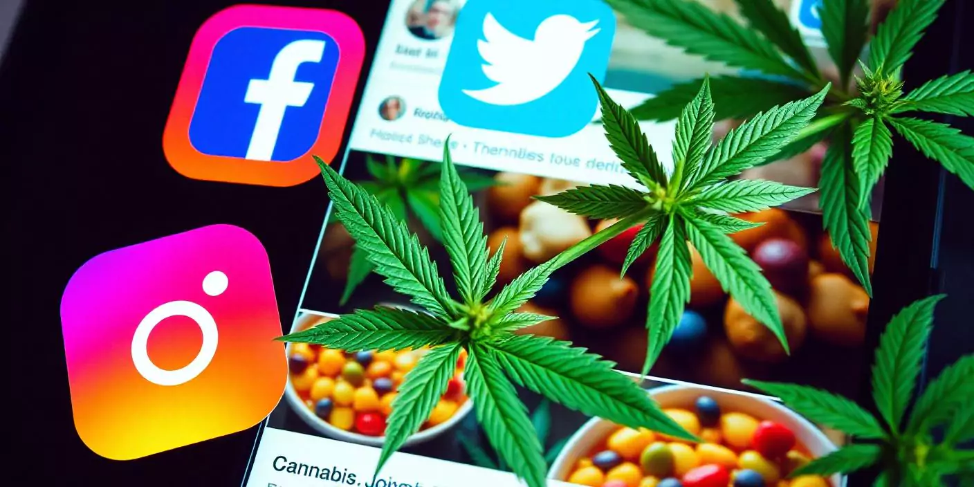 รับบริการ SMM สำหรับบริษัทจำหน่ายกัญชาและ CBD