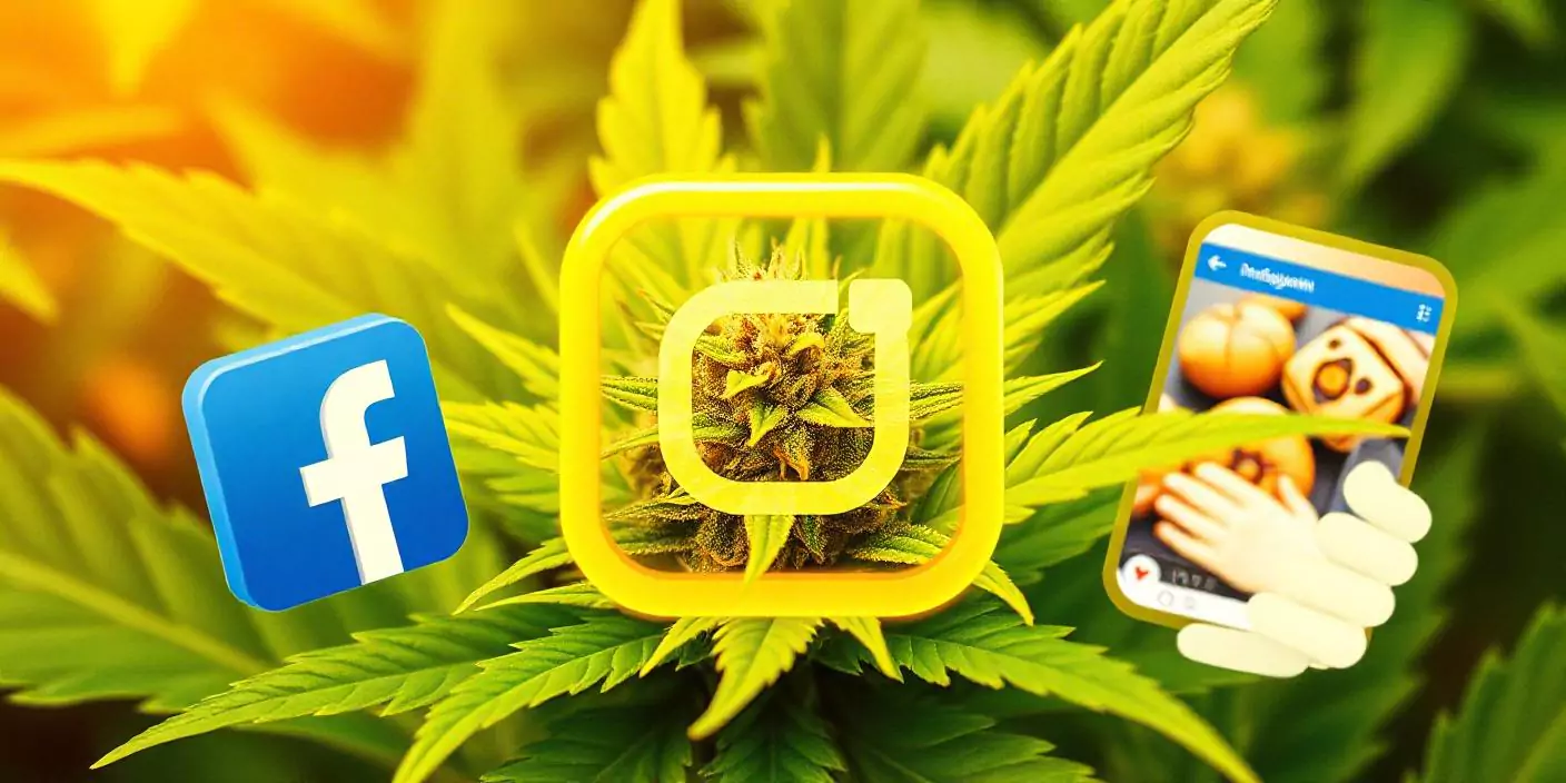 บริการ SMM สำหรับบริษัทจำหน่ายกัญชาและ CBD